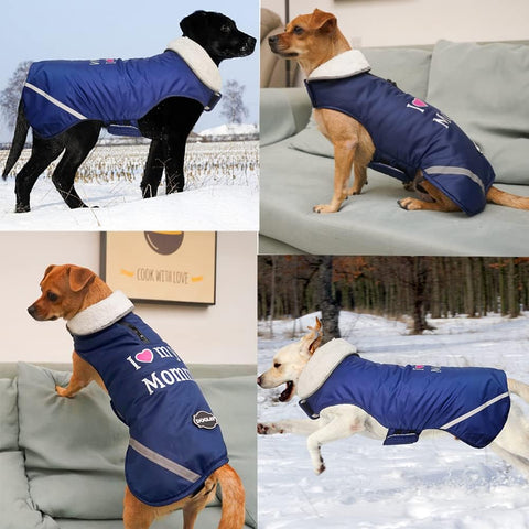 Doglay Warm Dog Coat