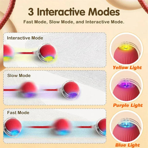 New Dog Interactive Ball Toy,Automatic Rolling Dog Ball Rechargeable,Smart Puppy Interactive Toy,Intelligent Balls Toy for Dogs